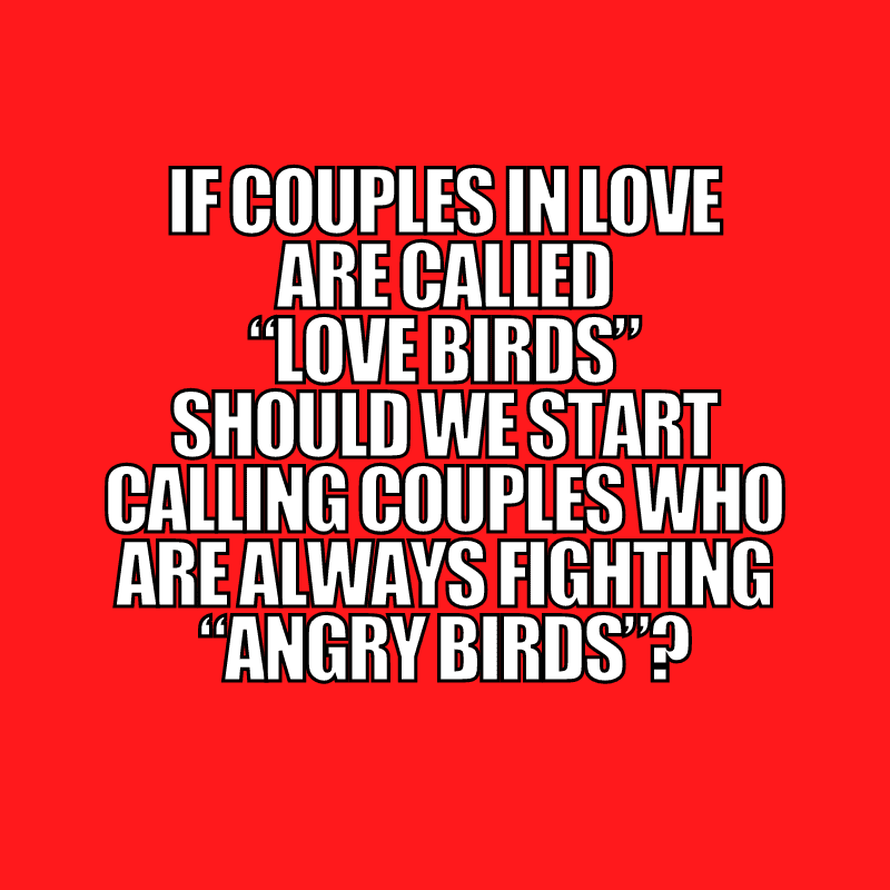 if couples in love are called “love birds” should we start calling couples who are always fighting “angry birds”?