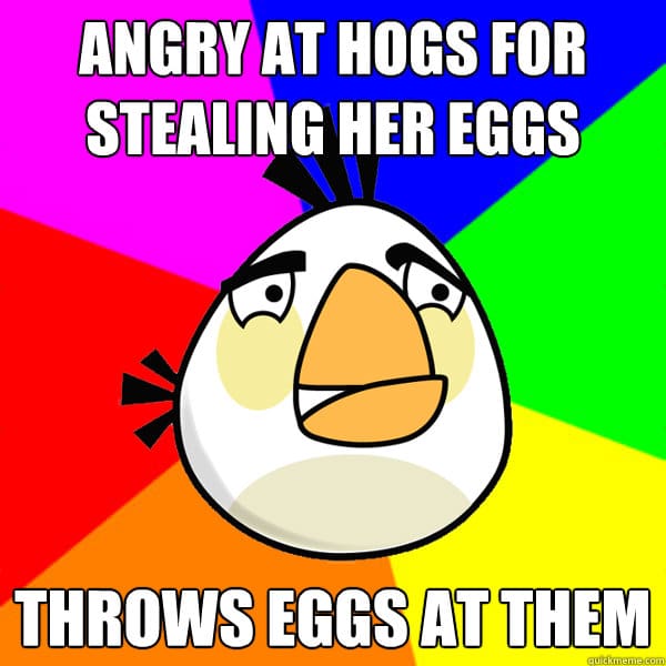 angry-birds-memes-1