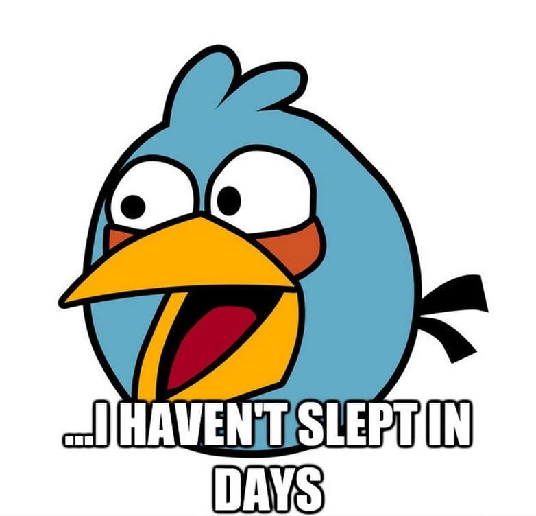 angry-birds-memes-6