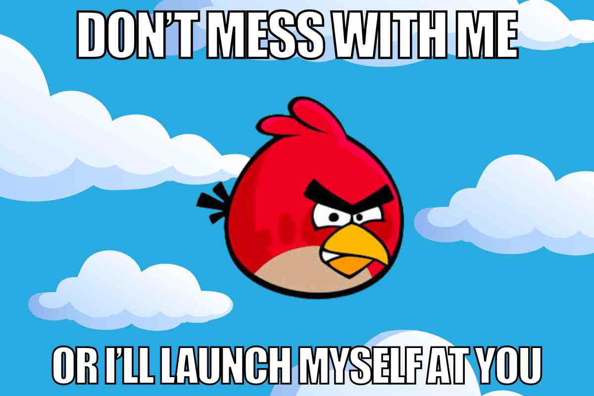 dont mess with me meme funny angry bird saying he will launch himself at you