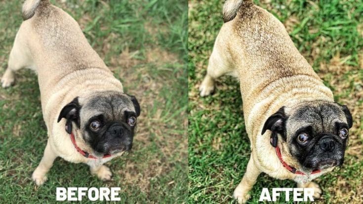 before after snapseed