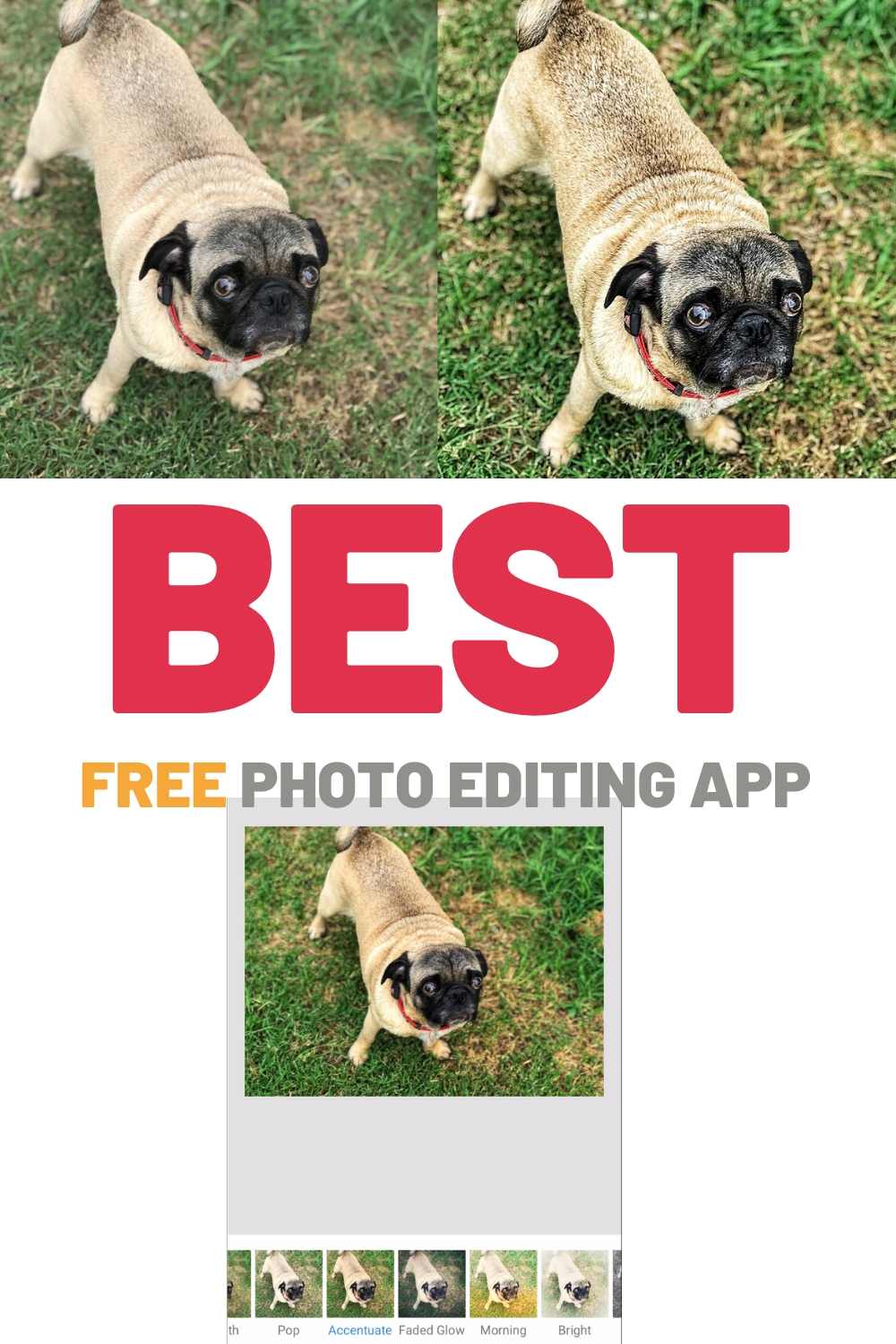 snapseed app review photo editing