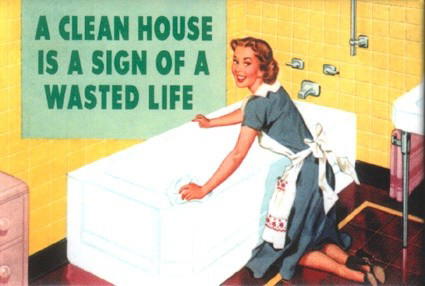 clean house is a wasted life clean house is a wasted life