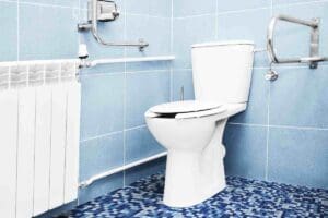 fancy toilet seats