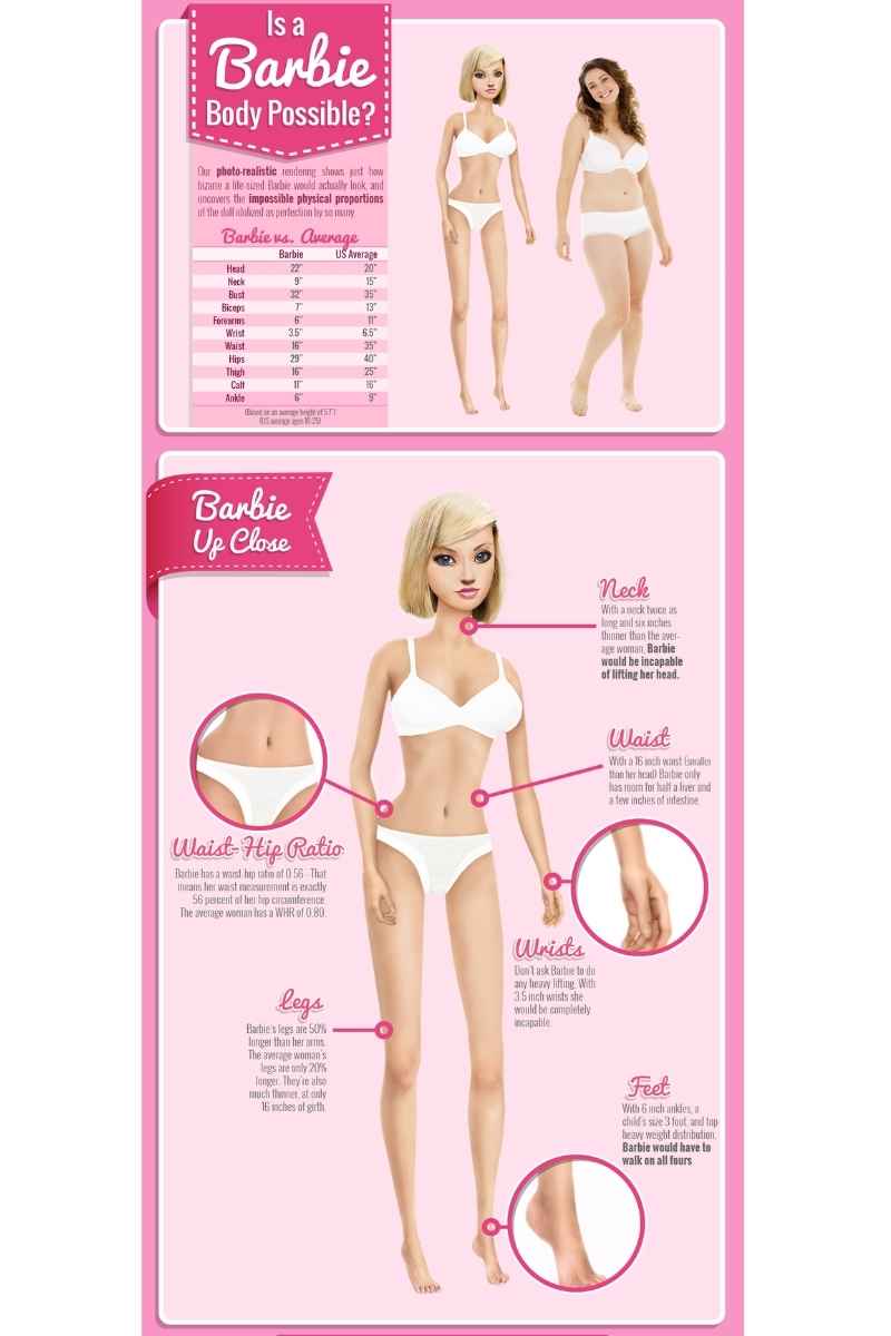barbie stats barbie stats