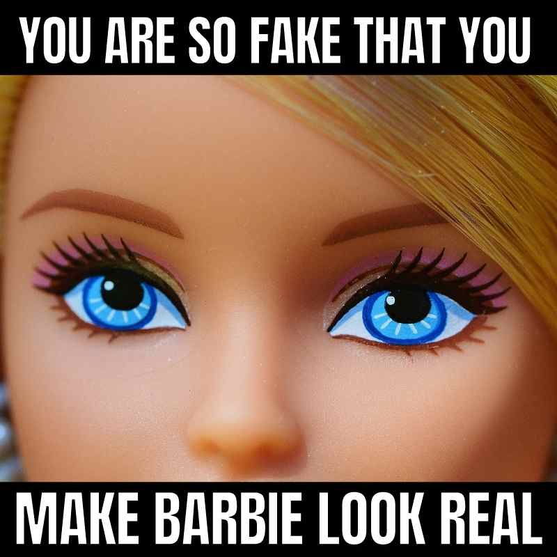 fake barbie meme fake barbie meme