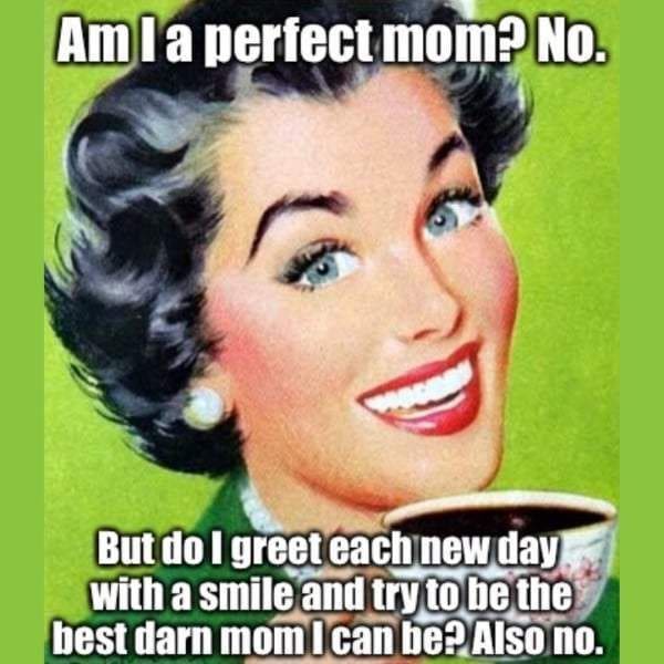 perfect parent meme Meme of a cheerful retro mom holding a coffee cup saying, 'Am I a perfect mom? No. But do I greet each new day with a smile and try to be the best darn mom I can be? Also no.'
