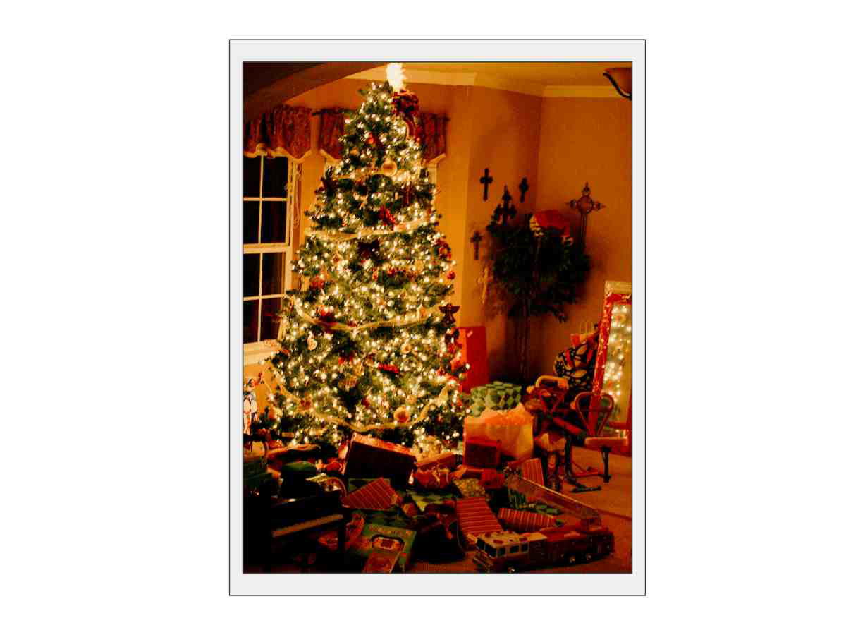 christmas tree photos christmas tree photos