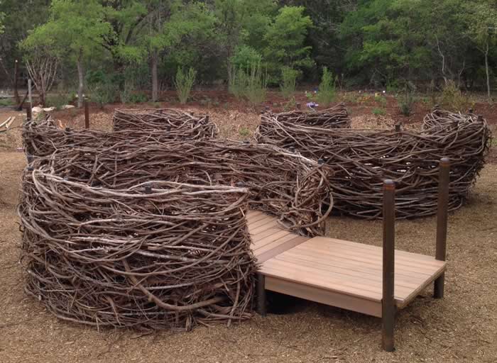 nest nest