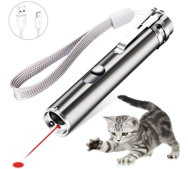 laser pointer 1 laser pointer