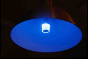 blue smart light