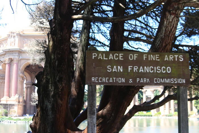 palace of fine arts san fran palace of fine arts san fran