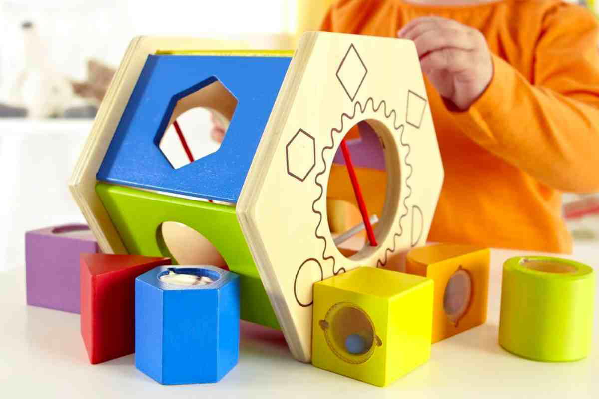 Fine Motor Skills Toys - Shake and Match Sorter shape match toy