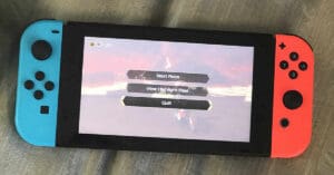 switch review