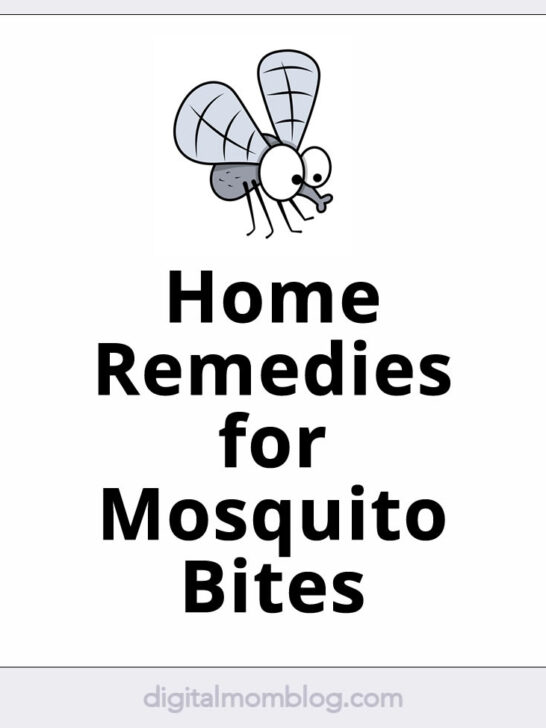 home remedies mosquito repellent home remedies mosquito repellent