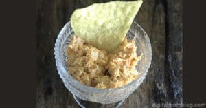 best instant pot buffalo chicken dip recipe