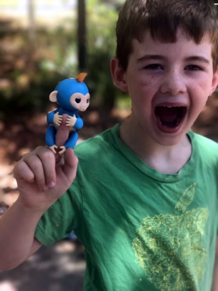 fingerling monkeys monkey fingerling toy 9yearold holding monkey toy on finger