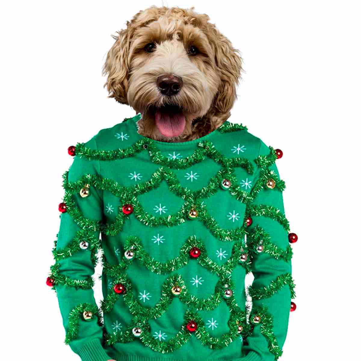 mens ugly christmas sweater cute mens ugly christmas sweater cute