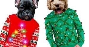 ugly christmas sweaters funny 2022