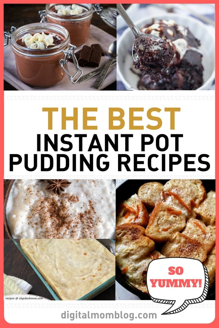 instant pot pudding recipes instant-pot-pudding-recipes