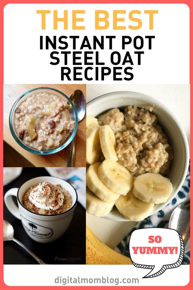 instant pot steel oats recipes instant-pot-steel-oats-recipes
