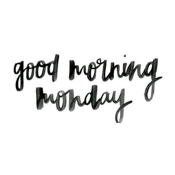 good morning monday Humorous meme with elegant calligraphy saying 'Good Morning Monday,' sarcastically greeting the start of the workweek.