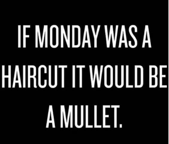 monday mullet 2 if monday was a mullet