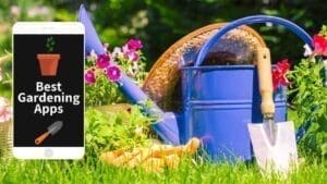 garden planning and plant identifier apps