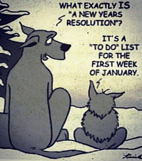 what is new years resolution new-year-resolution-meme-january