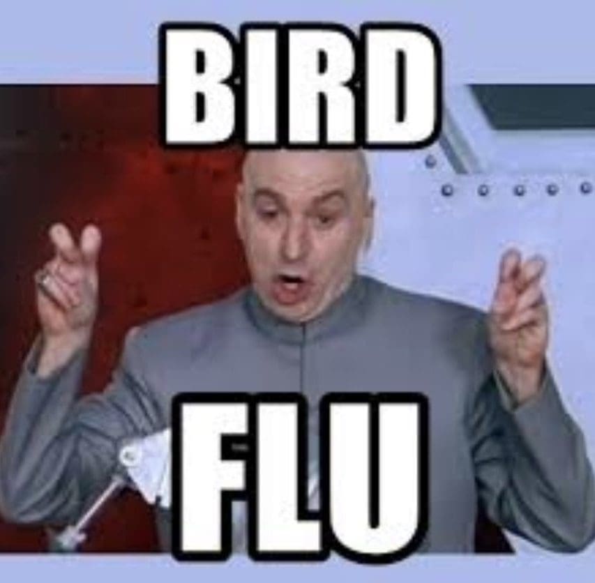 austin powers bird flu meme e1579194671692 A meme featuring a character making air quotes with the text 'Bird Flu,' humorously questioning the seriousness of the term.