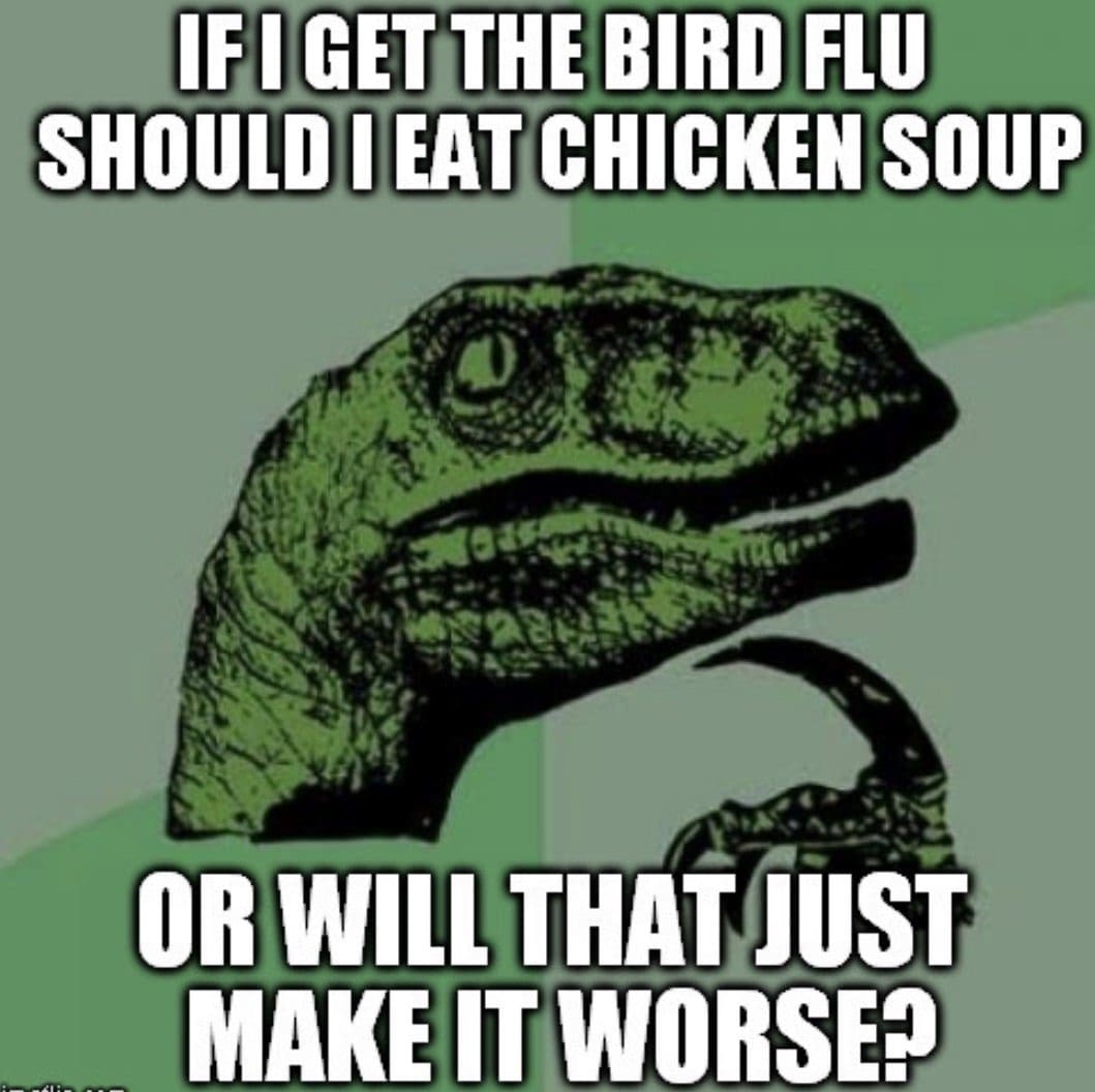 bird flu meme e1579194740948 Meme with dinosaur pondering if chicken soup helps with bird flu or makes it worse.
