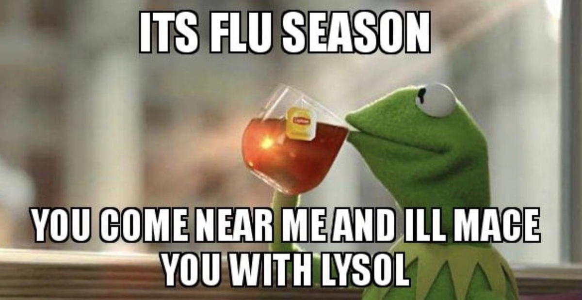 flu season meme Meme of a green puppet sipping tea, captioned 'It's flu season. You come near me and I'll mace you with Lysol.'