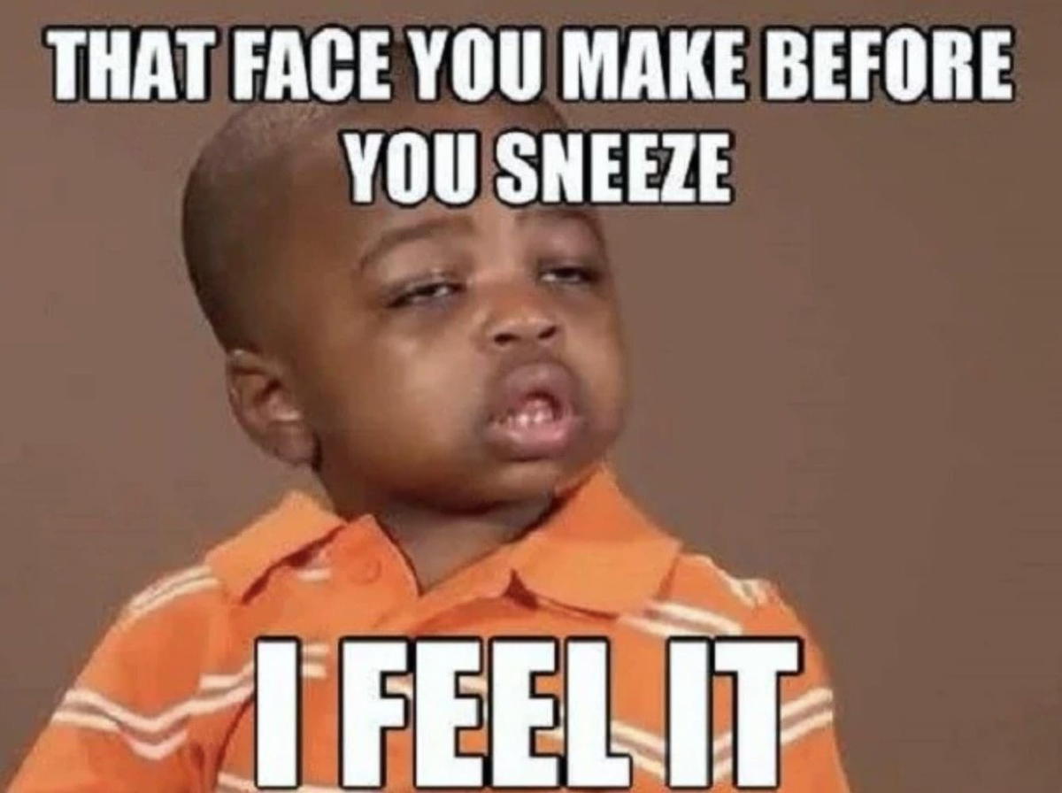 funny flu meme sneeze e1581008405796 Meme showing a toddler making a funny, squinty face with the text: 'That face you make before you sneeze. I feel it.' Perfect representation of flu season struggles.