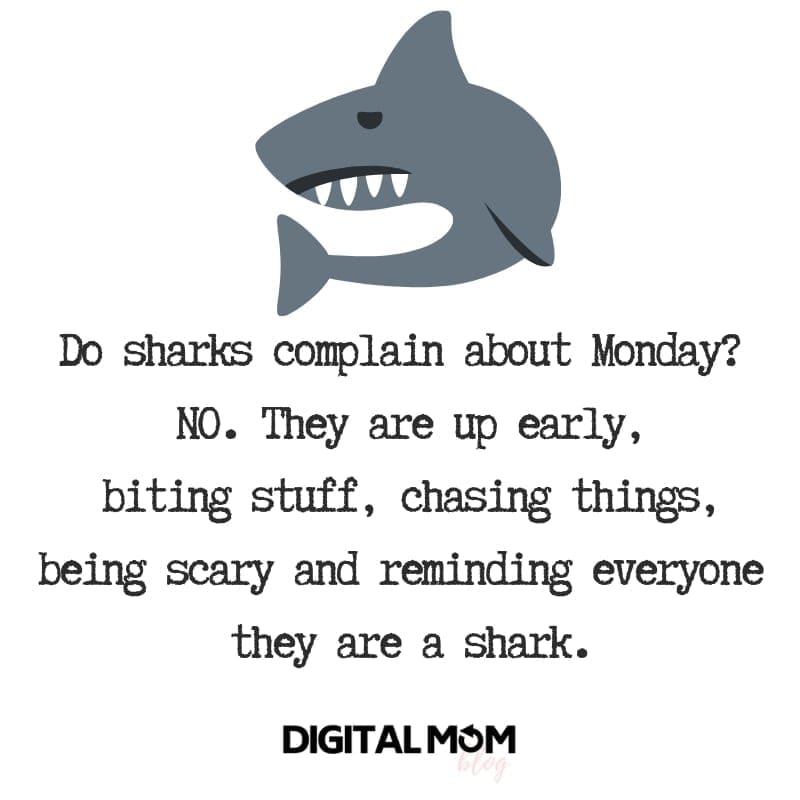 Be a Monday Shark - Monday Motivational Quotes monday shark motivational quote
