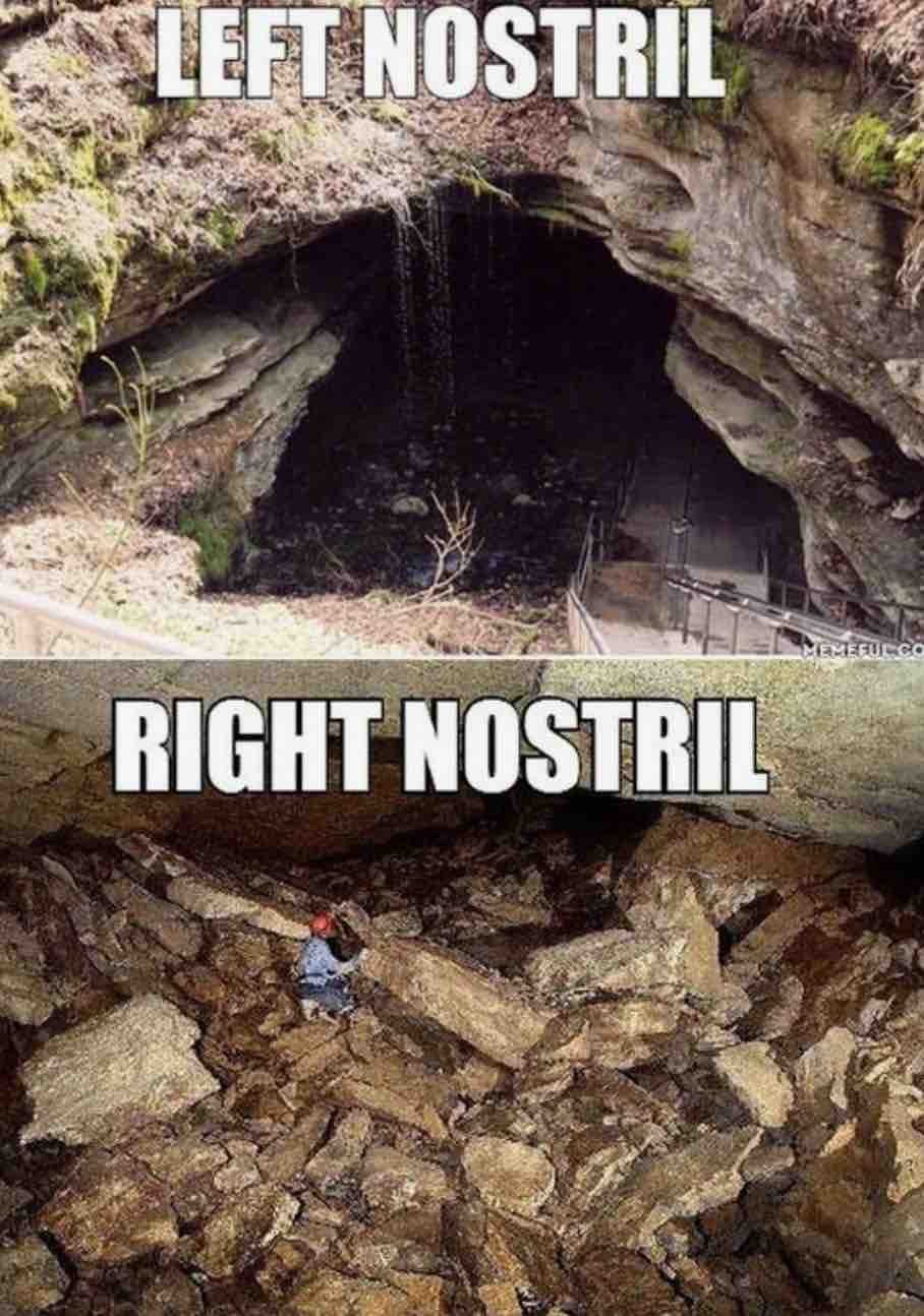 blocked nose meme nostrilcloggedmeme