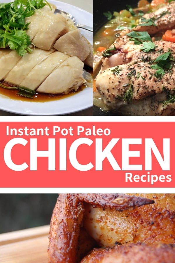 Instant Pot Paleo Chicken Recipes Instant Pot Paleo Chicken Recipes