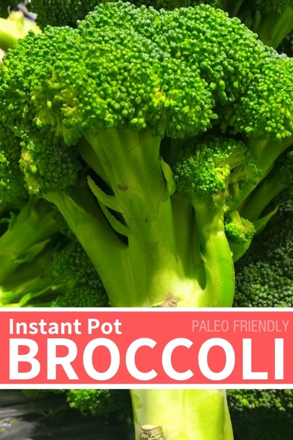 paleo instant pot broccoli recipes paleo instant pot broccoli