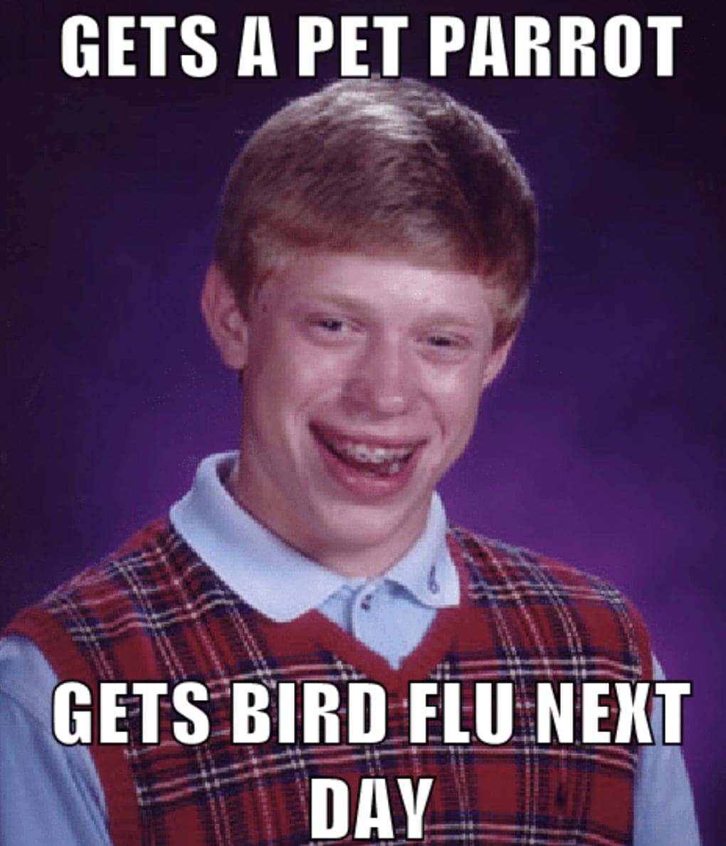bird flu meme A meme featuring a teen with an awkward grin and a plaid vest, captioned 'Gets a pet parrot, gets bird flu next day,' humorously highlighting the irony of bad luck.