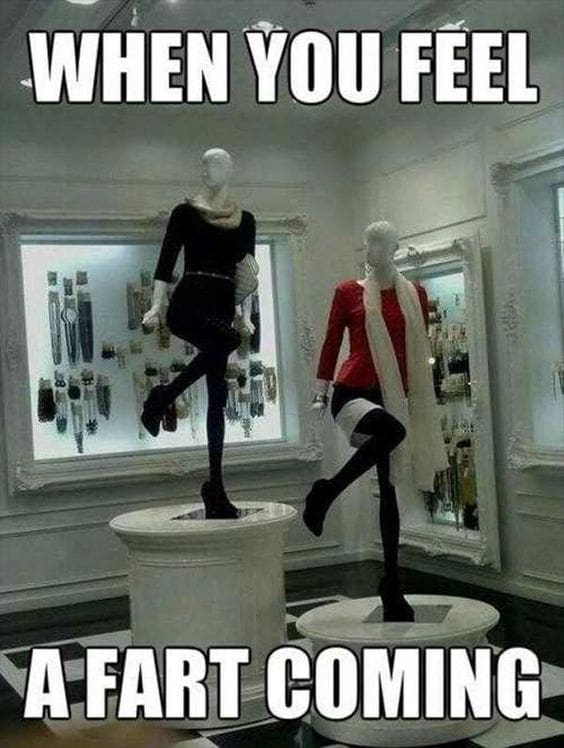 fart meme Humorous meme showing mannequins elegantly posing like they're balancing precariously, with text saying, 'WHEN YOU FEEL A FART COMING.'