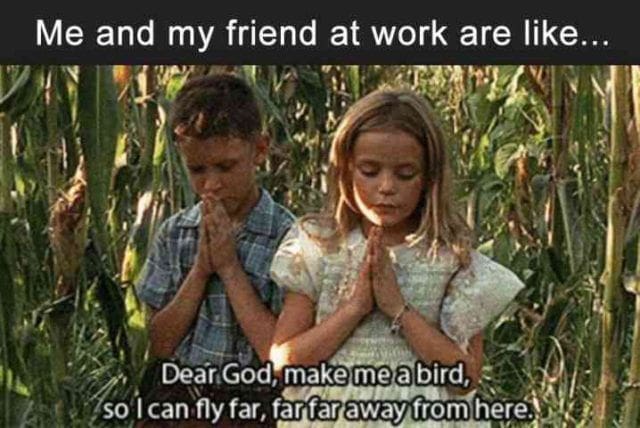 funny coworker meme Image of Yoda from Star Wars with the text 'Farewell, coworker. May the Force be with you,' a humorous goodbye meme for colleagues.