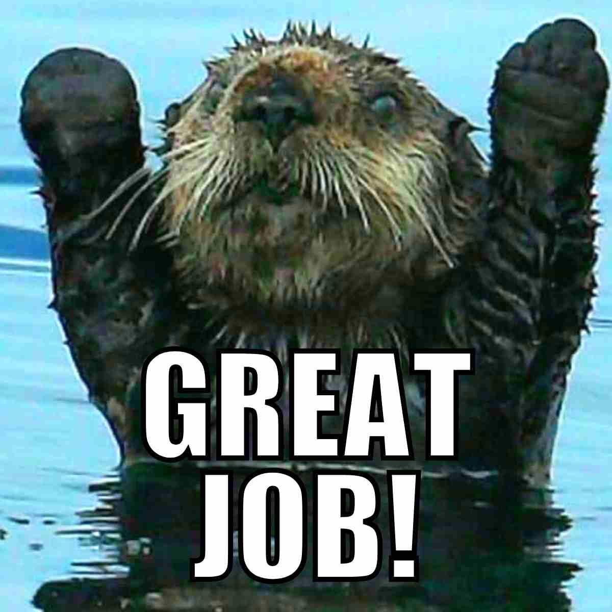great job meme Cheerful otter doing a victory pose with the caption 'GREAT JOB!' for a motivational job meme boost at work; perfect for celebrating small wins with big smiles!