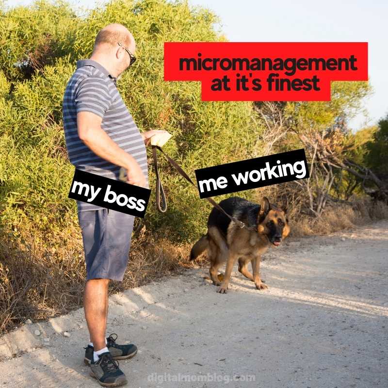 micromanager meme micromanager meme