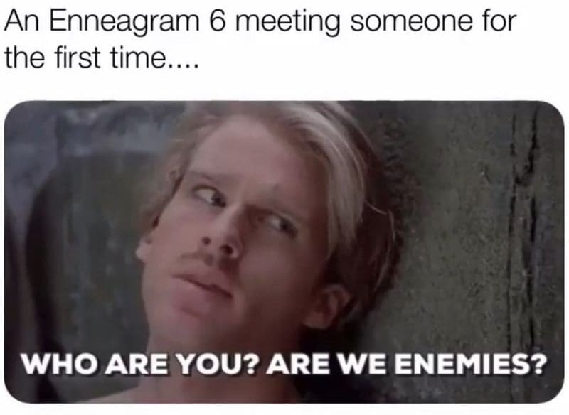 ennagram type 6 meme e1571936110967 Meme featuring a cautious person eyeing someone with the text 'An Enneagram 6 meeting someone for the first time... WHO ARE YOU? ARE WE ENEMIES?', humorously capturing an Enneagram 6's suspicious nature.