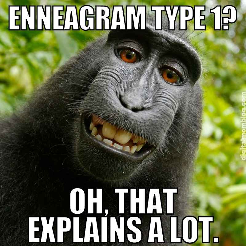 enneagram 1 memes A cheeky monkey grinning widely with the caption 'Enneagram Type 1? Oh, that explains a lot,' humorously suggesting the monkey's perfectionist personality traits in a enneagram 1 meme.
