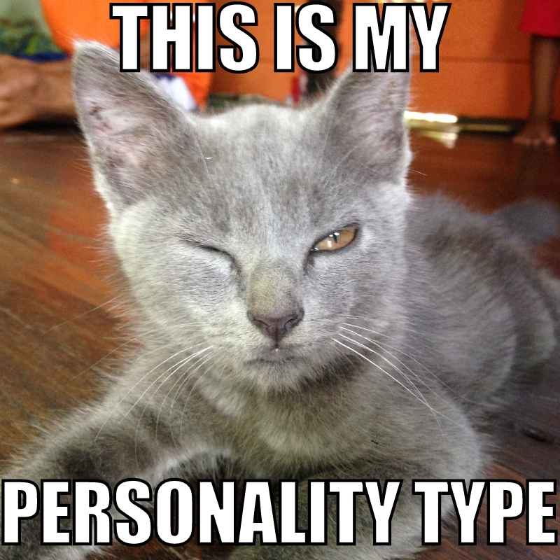 personality type meme personality type meme