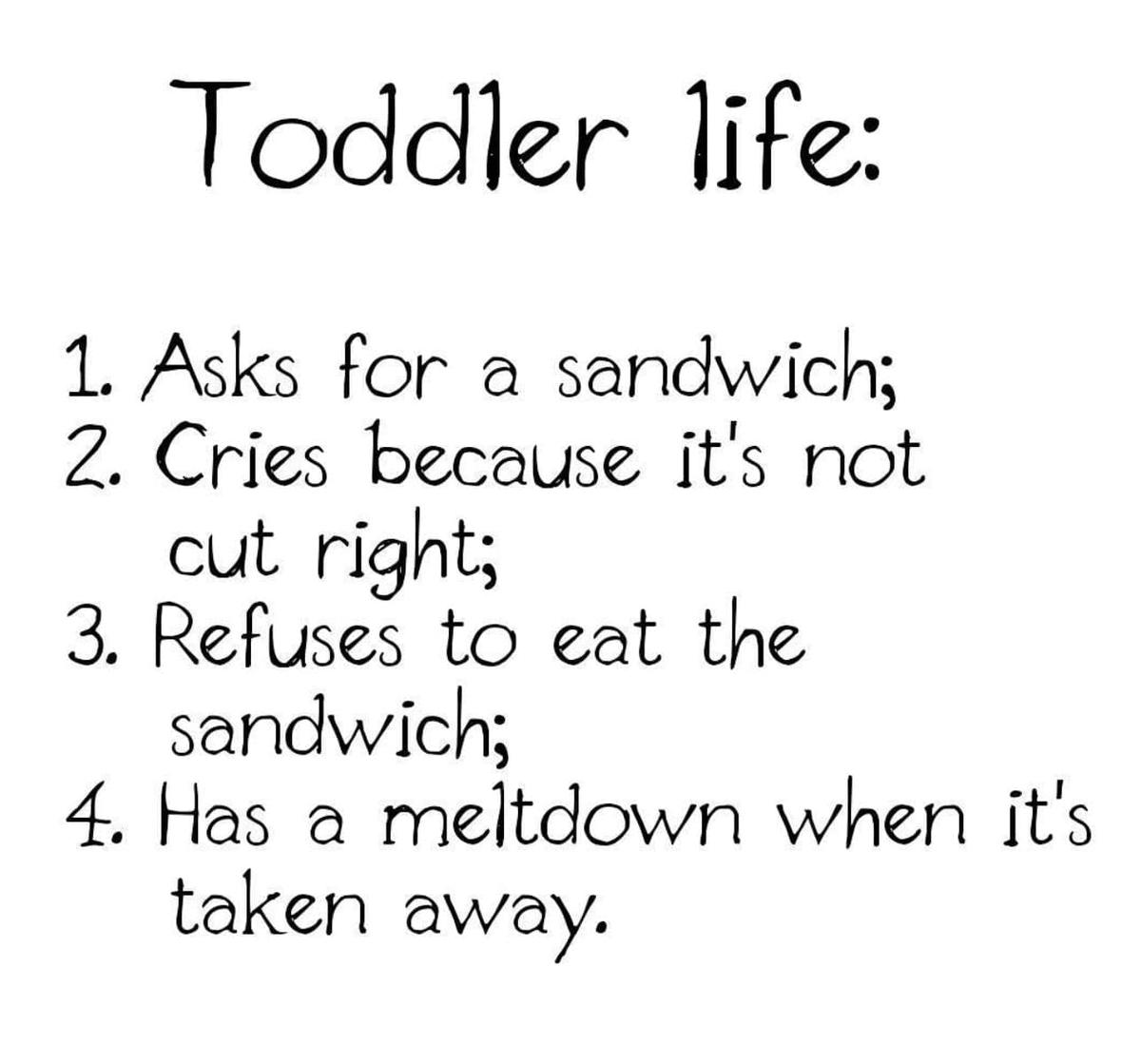 toddler life meme Funny toddler meme: fourstep toddler logic—asks for sandwich, cries over its shape, refuses to eat it, then has meltdown when it's removed.