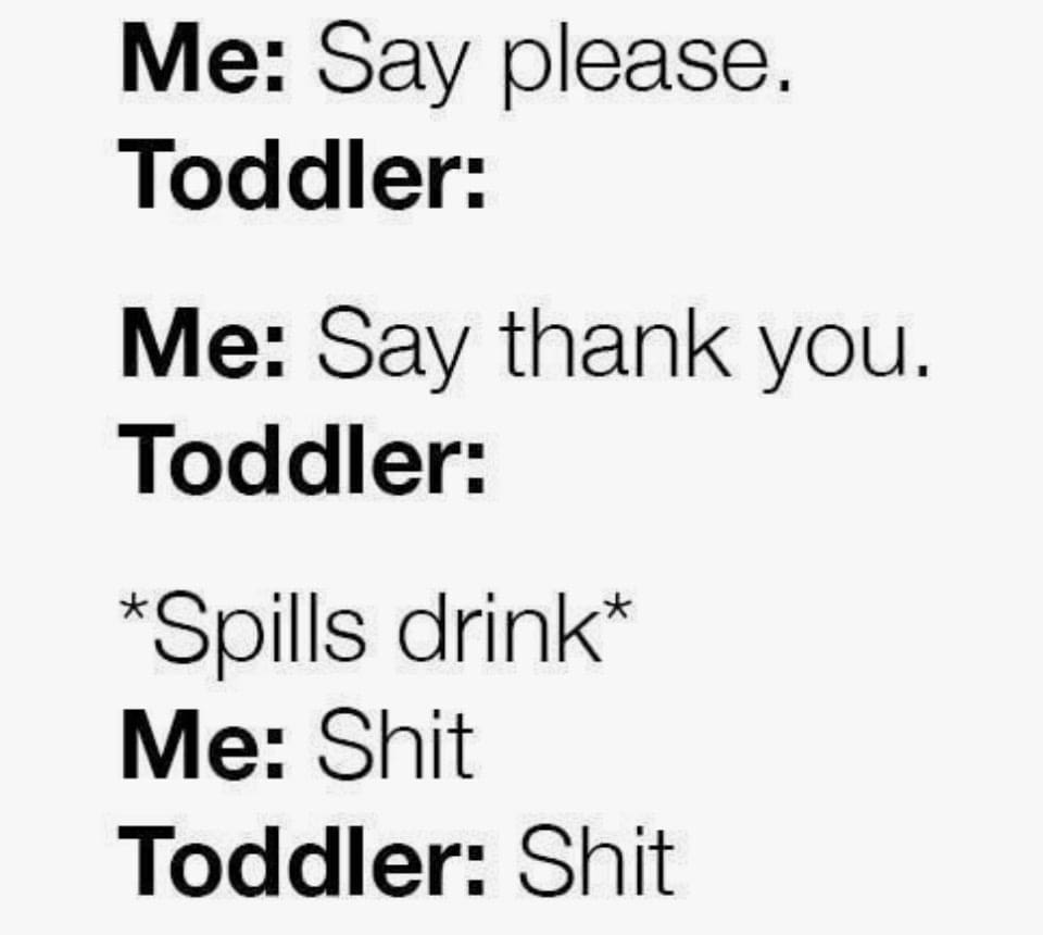 toddler meme thank you Funny toddler meme text exchange: Me trying to teach manners, says 'Say please.' and 'Say thank you.' Toddler silently spills drink, prompting me to say 'Shit' and toddler hilariously mimicking with 'Shit.'
