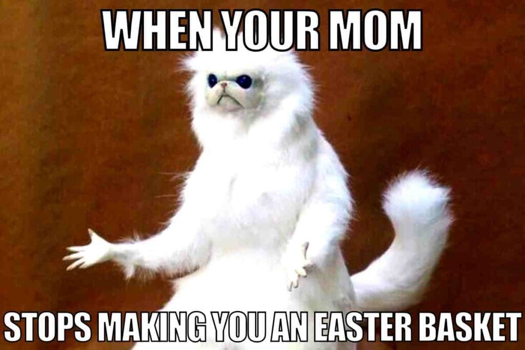 adult easter basket meme Fluffy white creature looking bewildered with text above reading 'WHEN YOUR MOM' and below saying 'STOPS MAKING YOU AN EASTER BASKET.' It's the epitome of Easter disappointment, capturing that moment your Easter bunny dreams are dashed, with a meme perfect for a holiday chuckle.
