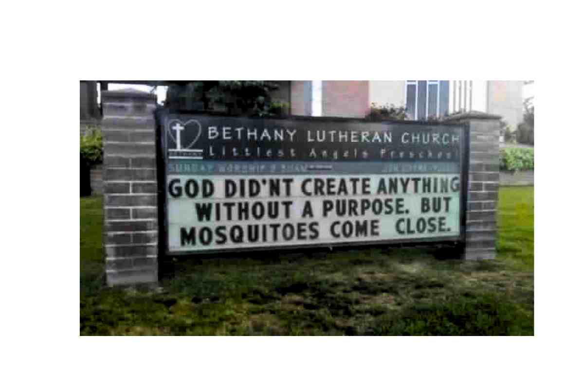 church mosquito sign A witty church sign reads, “God didn’t create anything without a purpose. But mosquitoes come close,” sparking smiles and a nod of agreement from passersby.