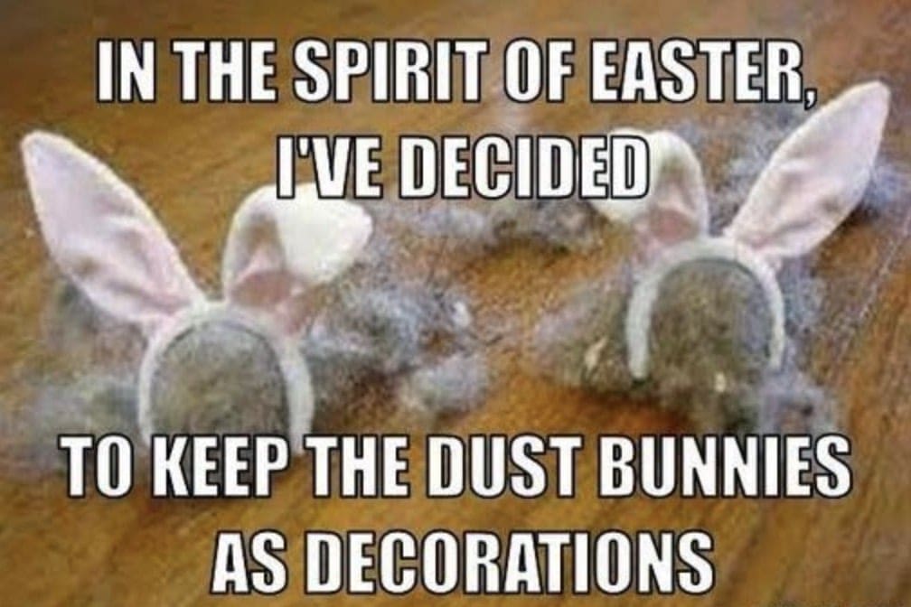 dust bunnies easter meme A humorous meme featuring two clumps of dust adorned with pink bunny ears, playfully referred to as 'dust bunnies,' with the text, 'In the spirit of Easter, I've decided to keep the dust bunnies as decorations.' Perfect for anyone who might skip vacuuming for a laugh this Easter!